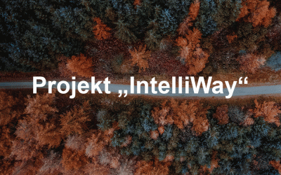 Projekt IntelliWay