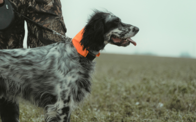 Jagdhund und Toughbook