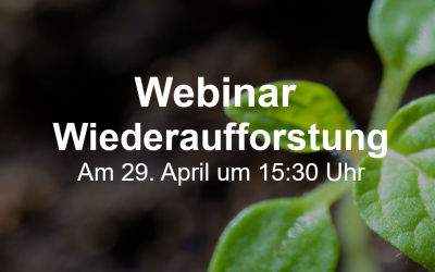 Webinar - Unterstützung der Wiederaufforstung mit dem Waldinfoplan