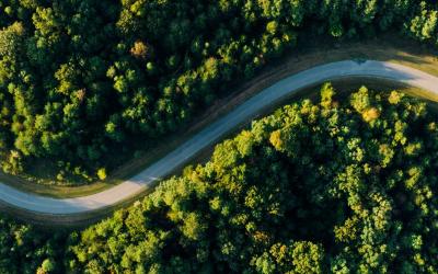 Neue Wege in der Holzvermarktung